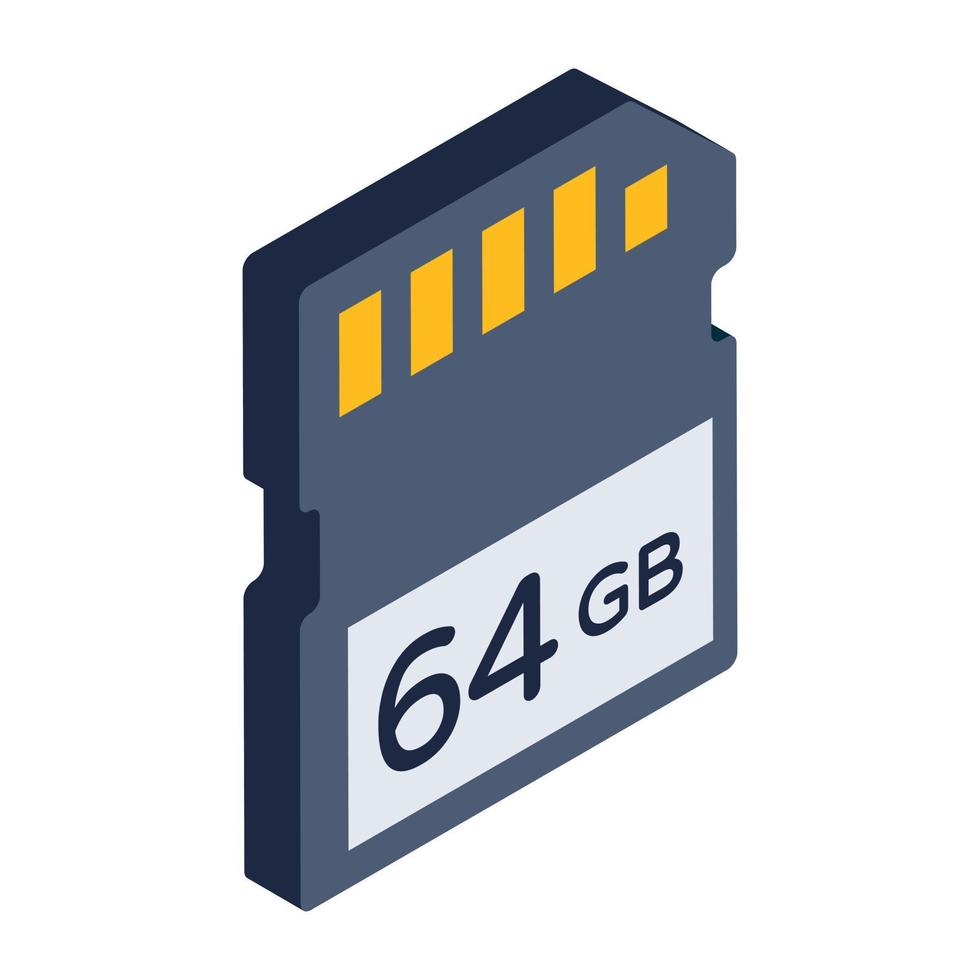 A sd card icon in isometric design vector