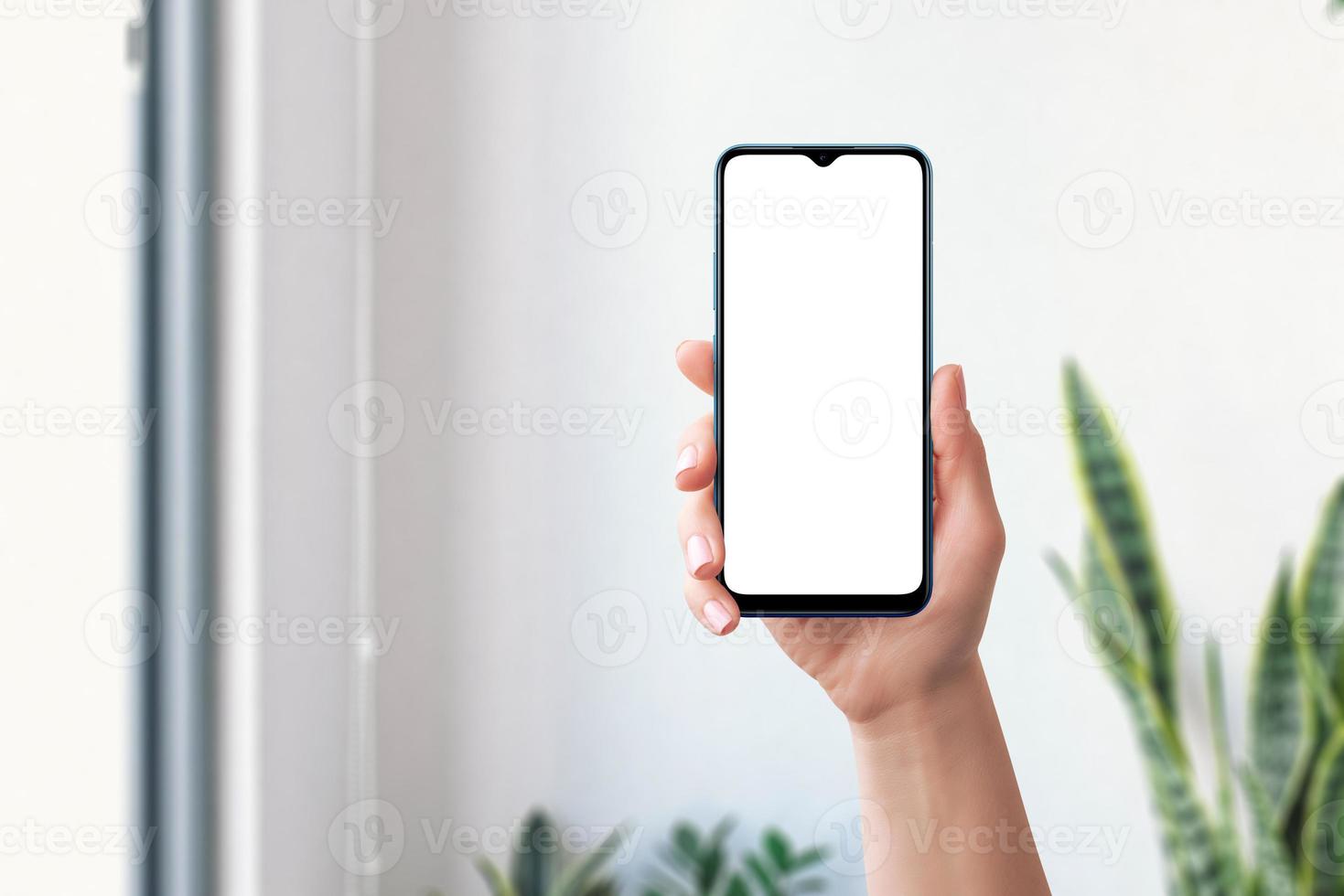 Phone mockup in woman hand. Front position. Isolated screen for mockup. Living room in background with plant photo