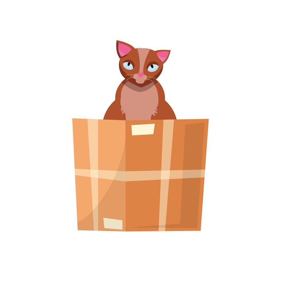 cat in the box. Cat in a cardboard box. Kitty inside carton box. Playful curious cat pet looking out of his hiding. Cartoon kitten in a box adoption Flat style vector character illustration