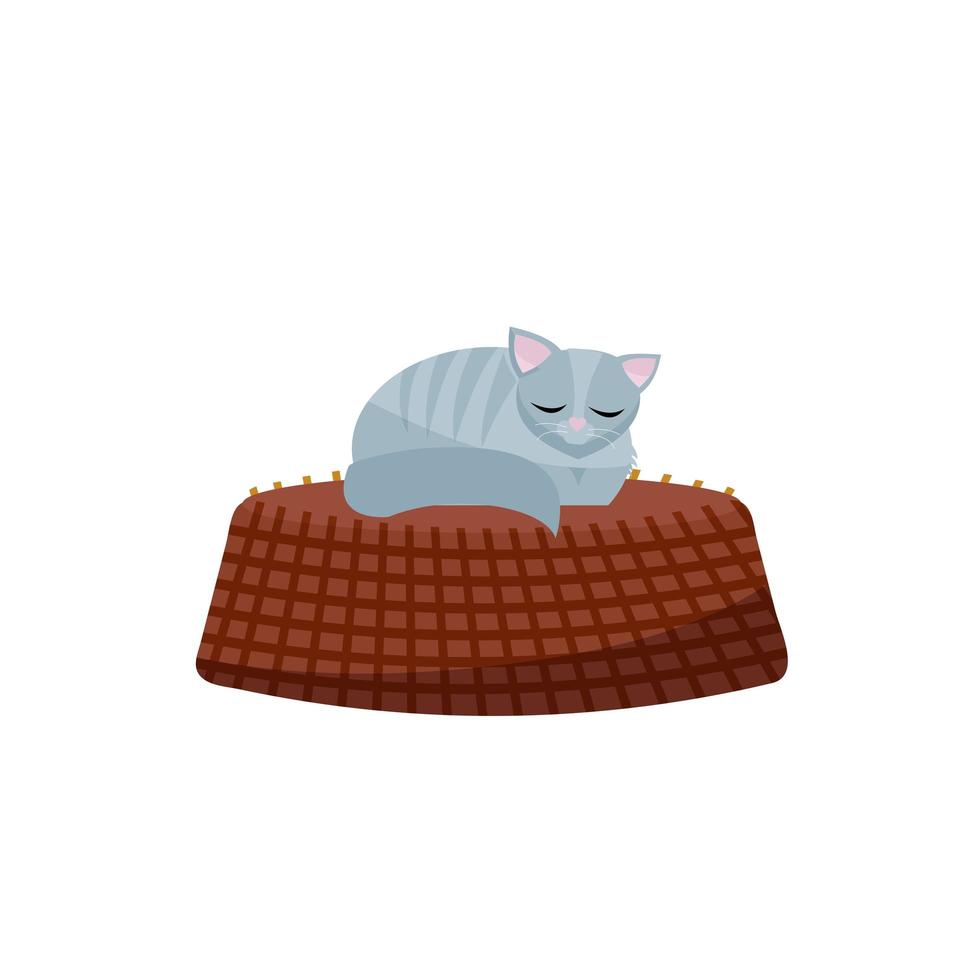 Illustration of kitten sleeping on basket. Gray cat in a cozy basket. Flat cartoon vector illustration on white background