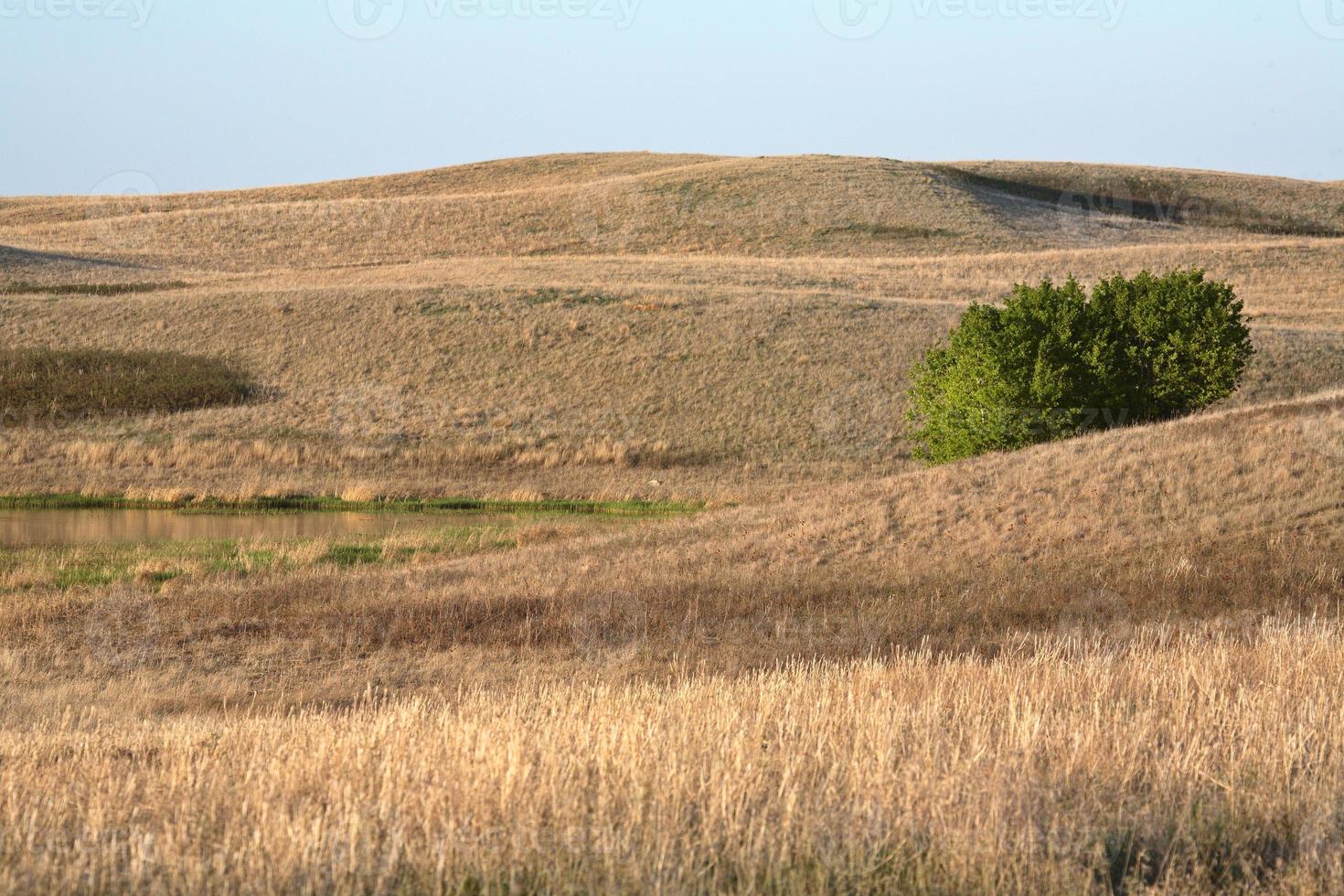 vista panorámica del coteau de missouri en primavera foto