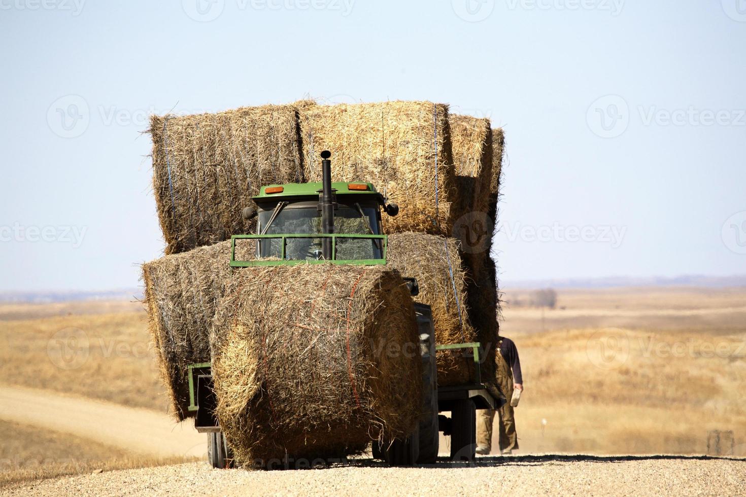 Tractor with hay bales in early spring photo