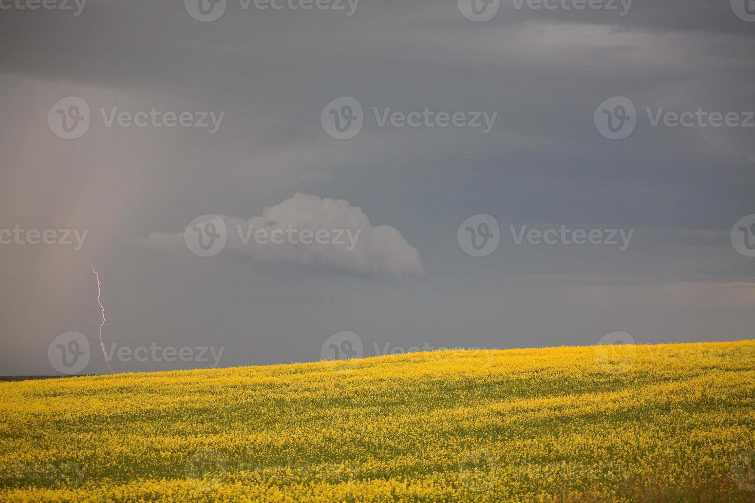 Approaching rain with lightning in scenic Saskatchewan photo