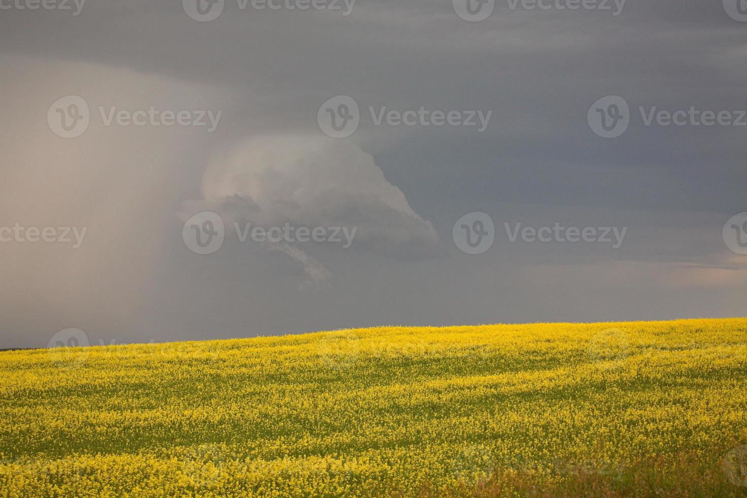 Approaching rain in scenic Saskatchewan photo