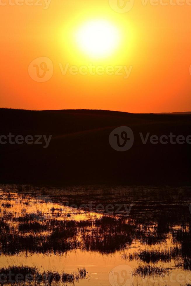 Waterbirds swimming through sun reflection in Saskatchewan photo