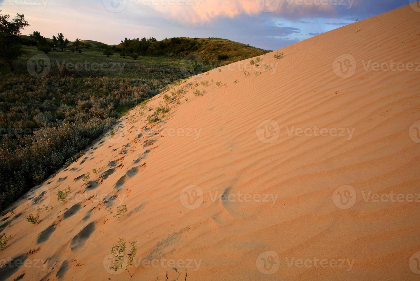 Sand dune at Great Sand Hills in scenic Saskatchewan photo