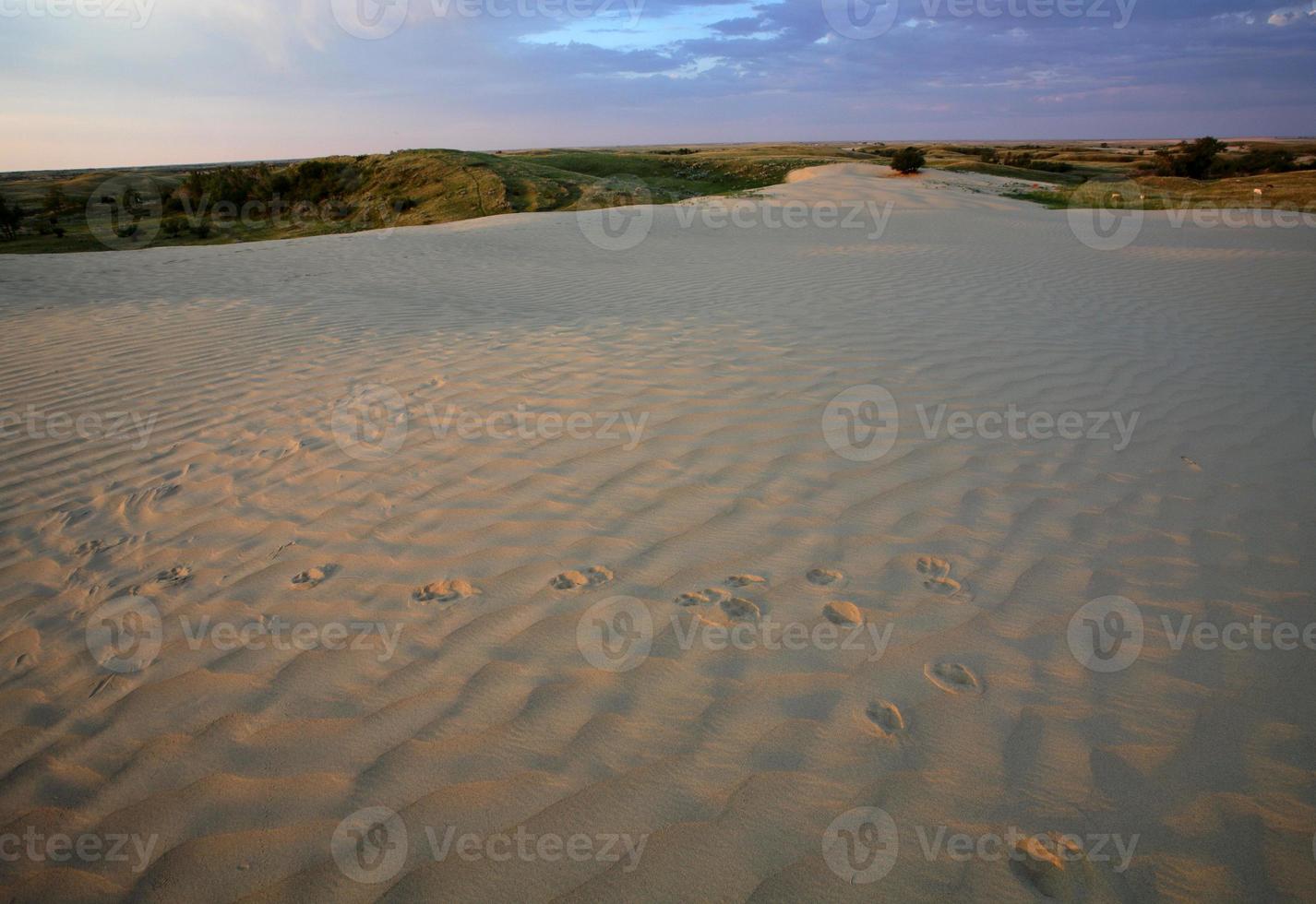 Sand dune at Great Sand Hills in scenic Saskatchewan photo