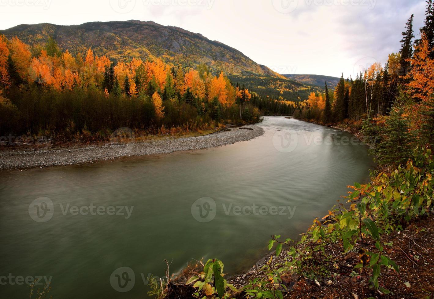 colores de otoño a lo largo del río columbia británica del norte foto