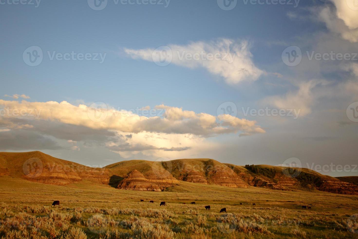 Big Muddy Valley in Southern Saskatchewan photo