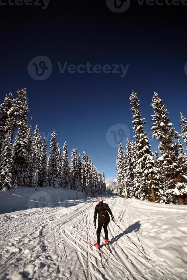 esquiador de fondo disfrutando del invierno foto