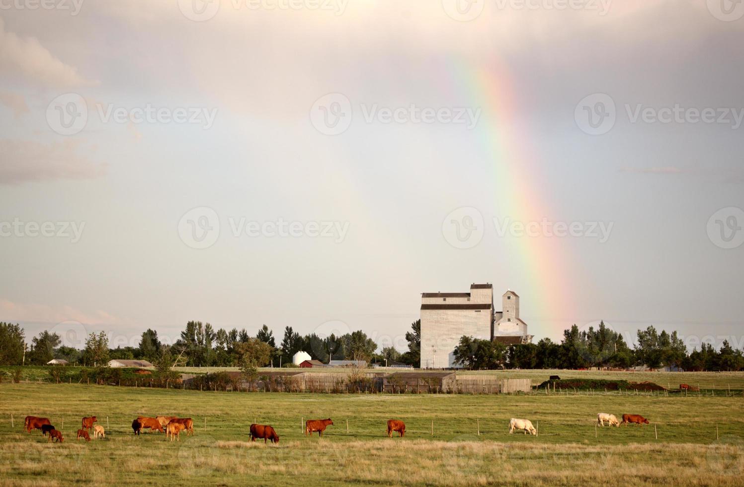 arco iris aterrizando detrás de bengough saskatchewan foto