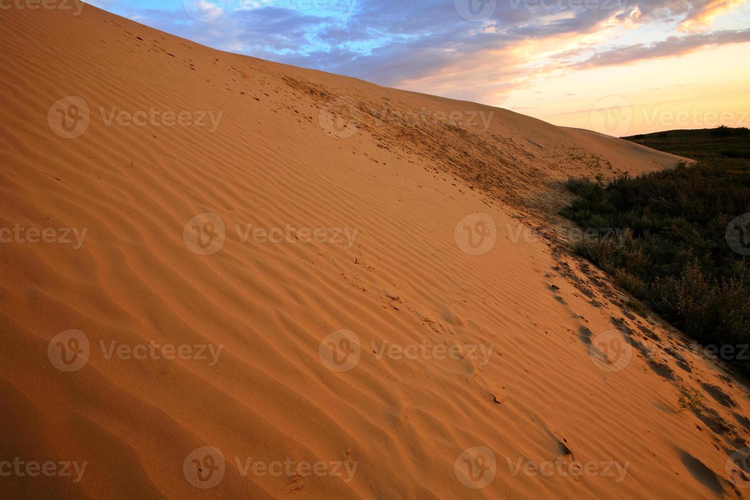 Sand dune at Great Sand Hills in scenic Saskatchewan photo