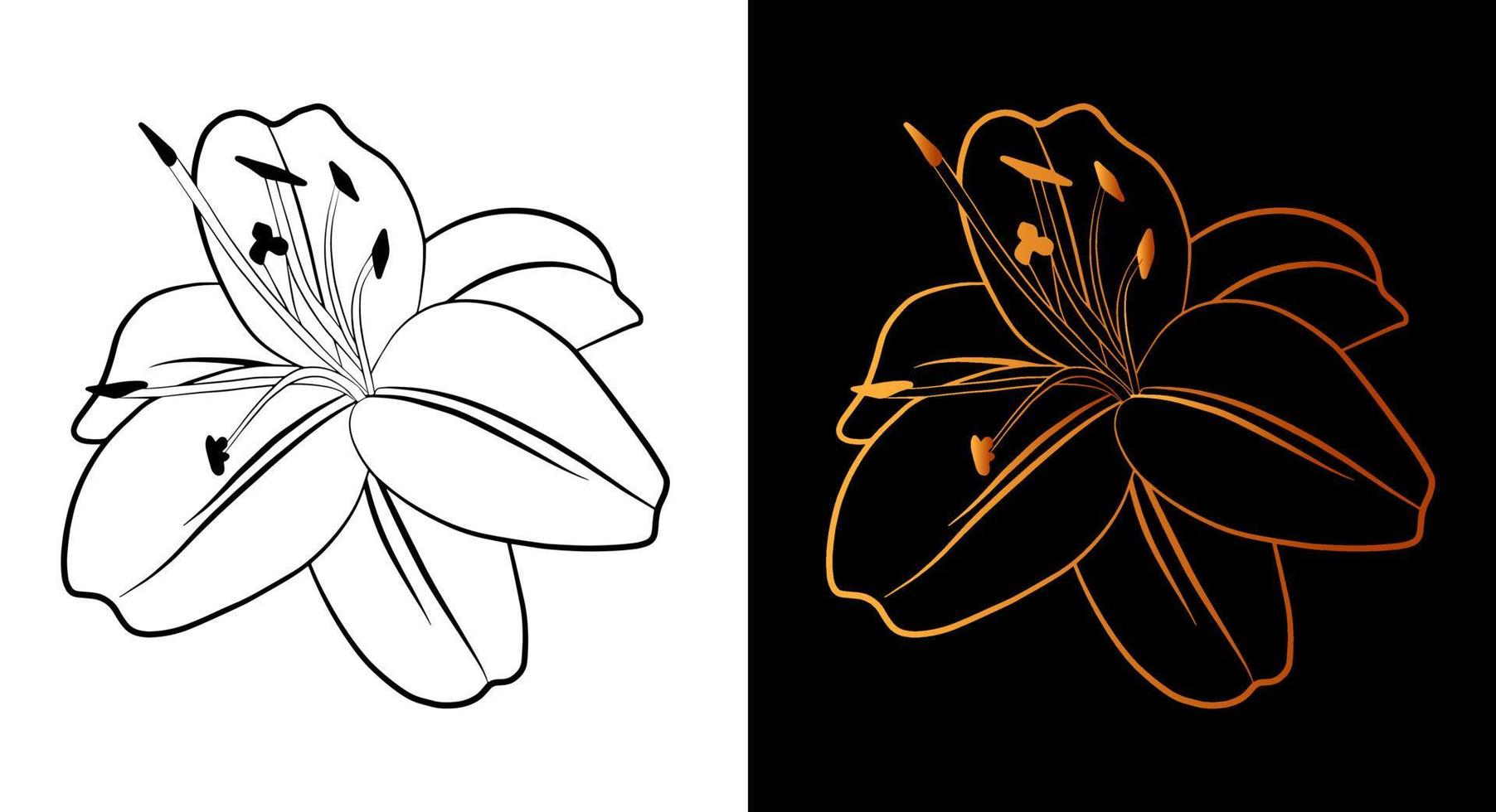 icono de contorno de flor de lirio, estilo de arte de línea de boceto de  garabato