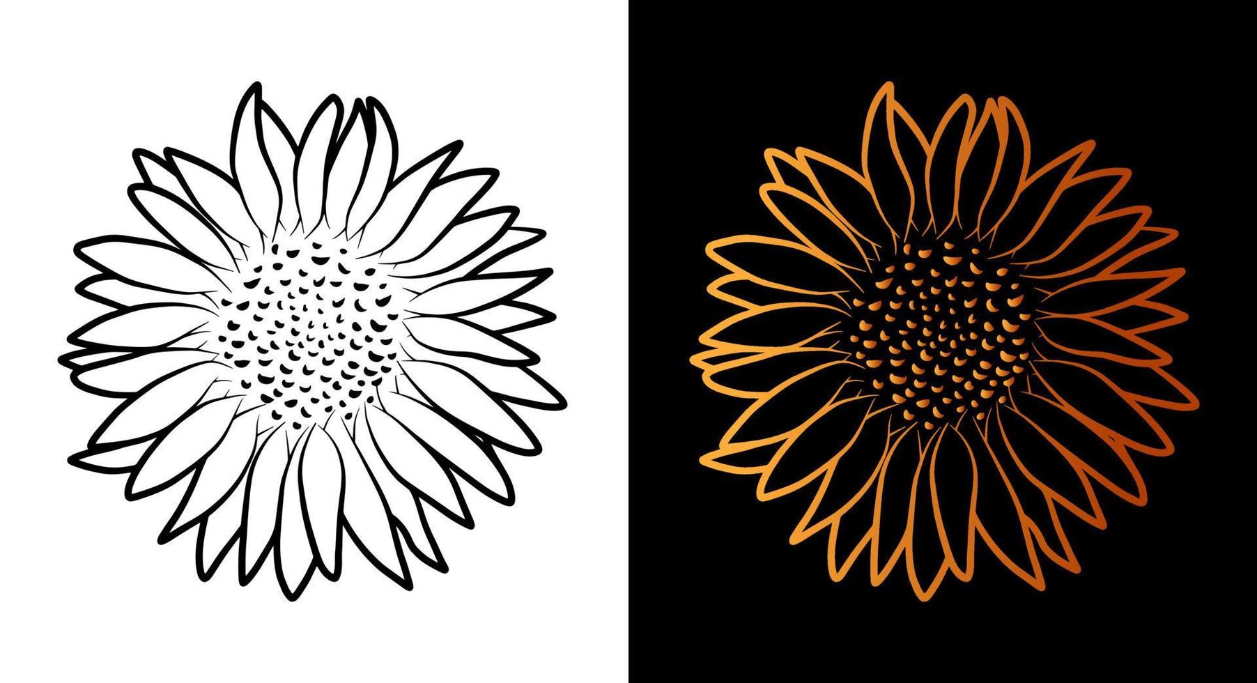 icono de contorno de flor de girasol, estilo de arte de línea de boceto de garabato simple, conjunto de botánica floral negra y dorada. diseño de logotipo elegante de belleza. dibujo de símbolo aislado gráfico. forma plana, tarjeta de tatuaje de boda. vector