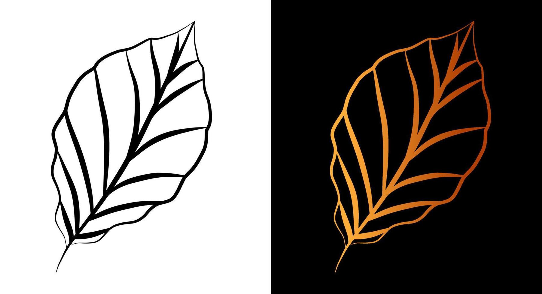 Leaf outline icon, simple doodle sketch line art style, black and gold floral botany set. Beauty elegant logo design element. Graphic isolated symbol drawing. Flat leaves shape. Wedding print card. vector