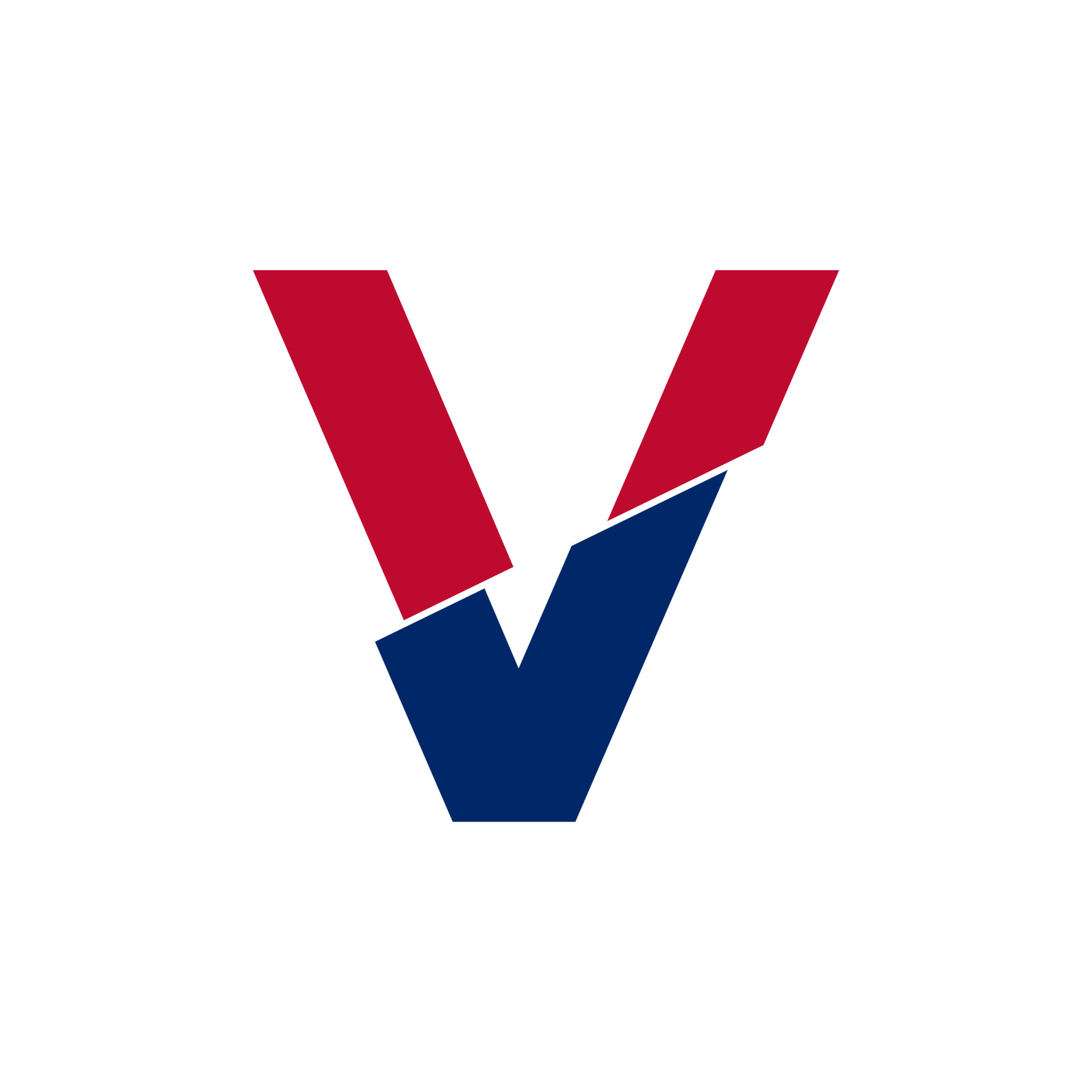 Initial Letter V Blue and Red Logo. Geometric Shapes Cut Style isolated