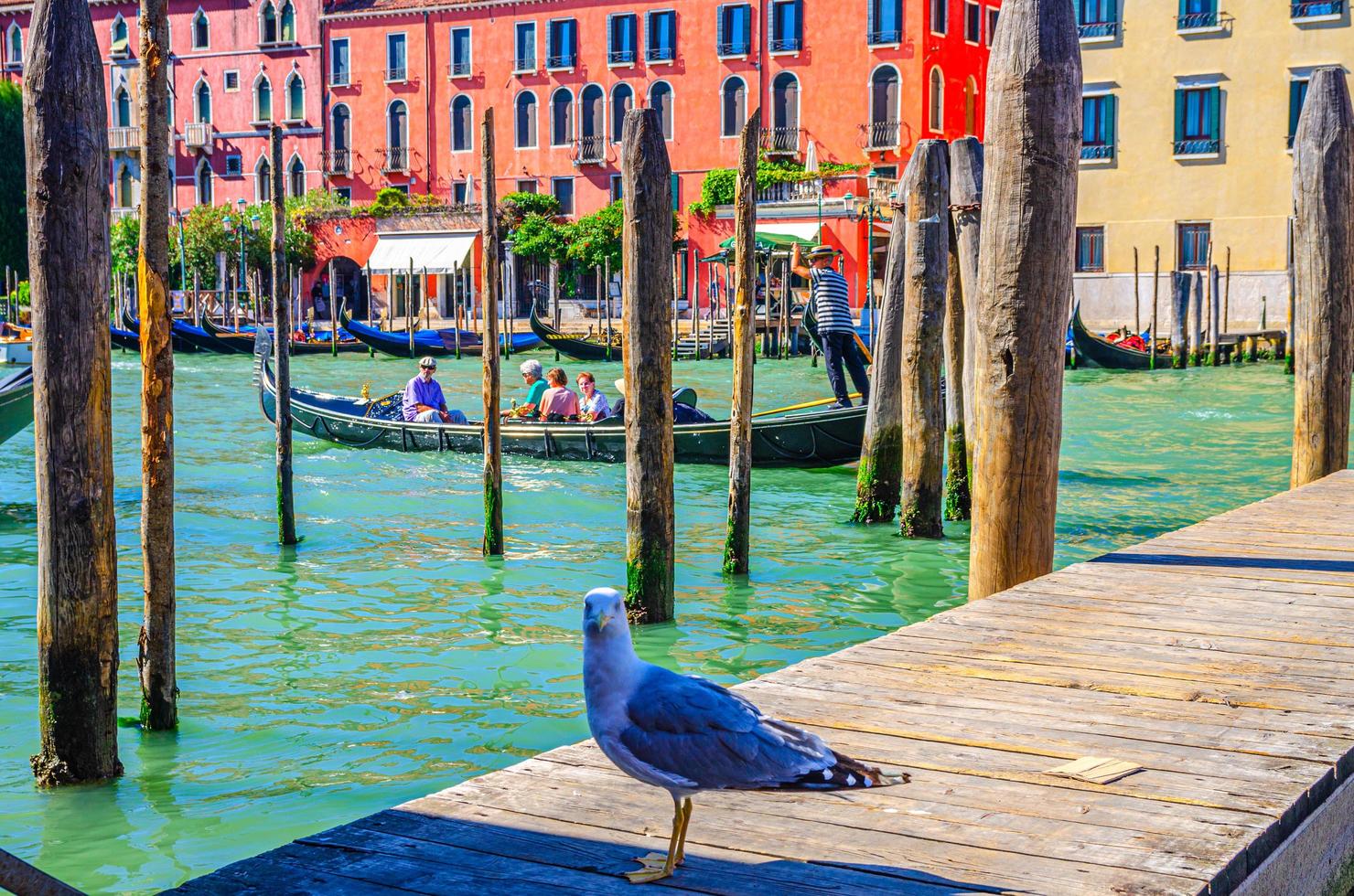 gondolero y turistas en góndola barco tradicional navegando en el agua del gran canal en venecia foto