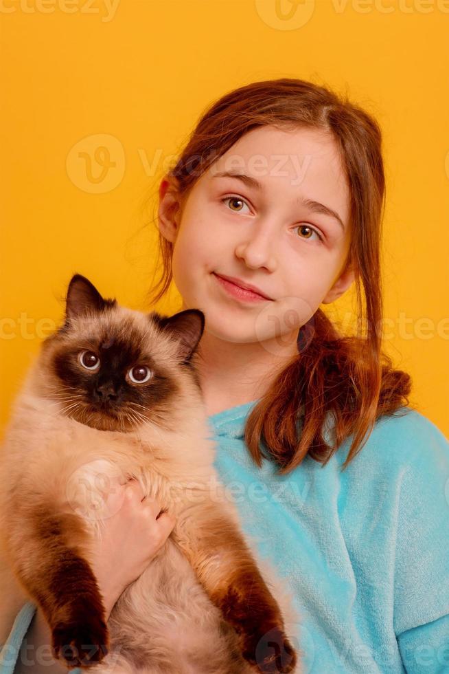 The child with the animal. A teenage girl with a cat. photo