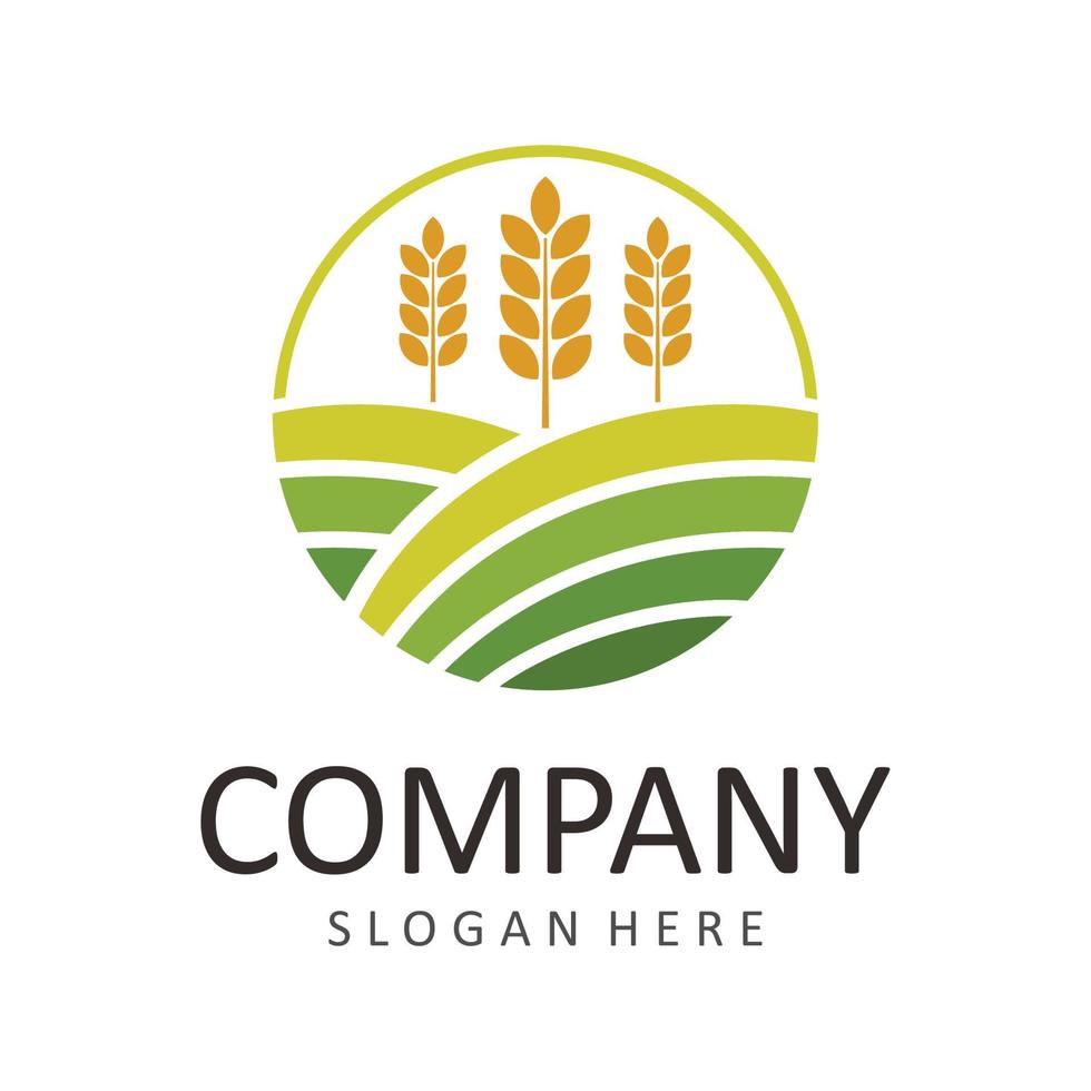 Agriculture wheat vector logo template