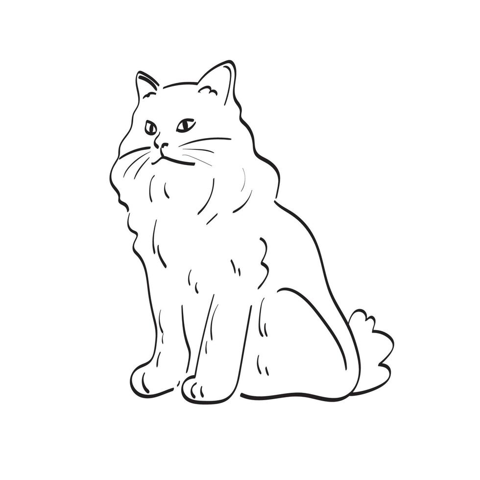 gato ilustración vector dibujado a mano aislado en el arte de línea de fondo blanco.