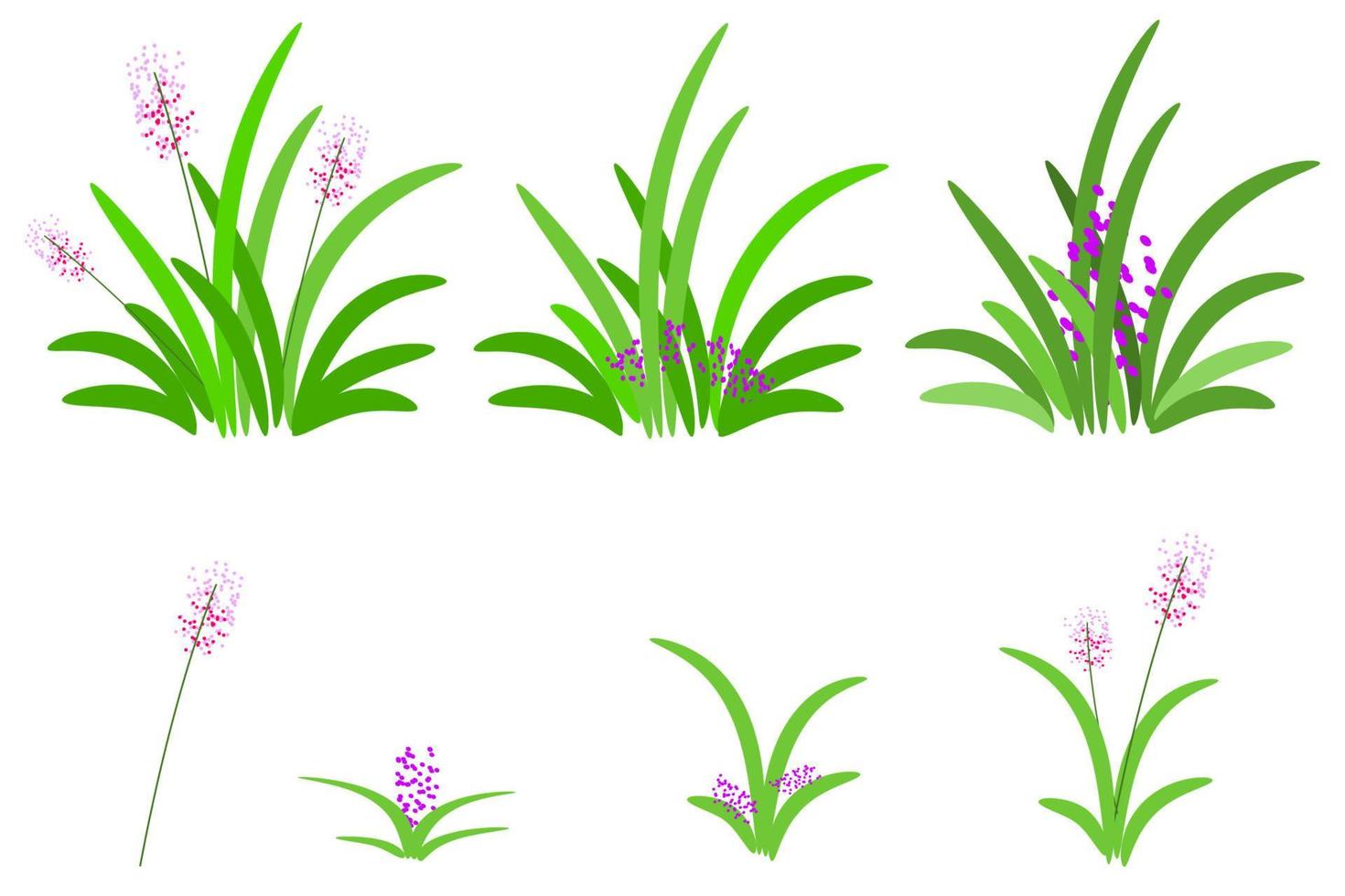 vector green grass set