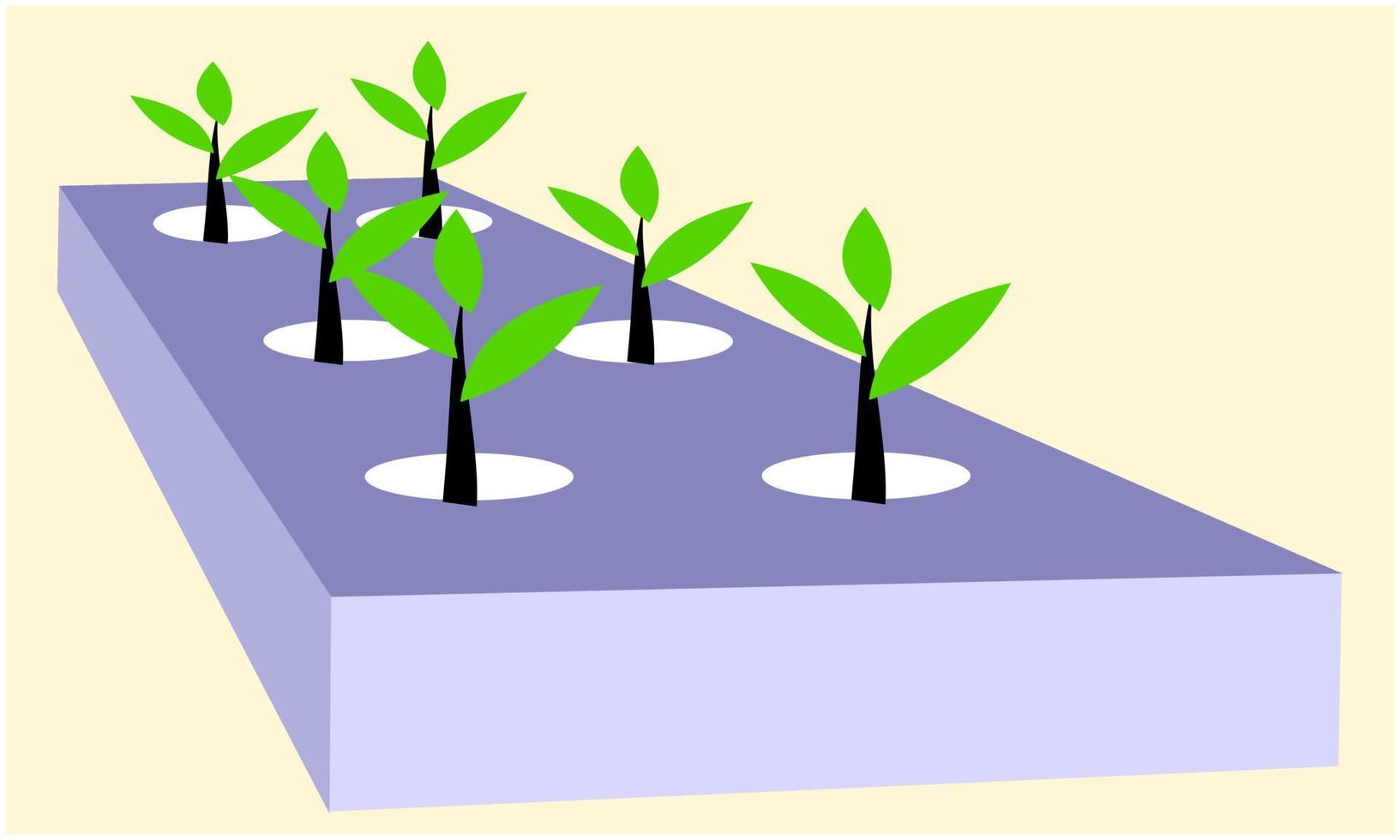 hydroponic planting system vector