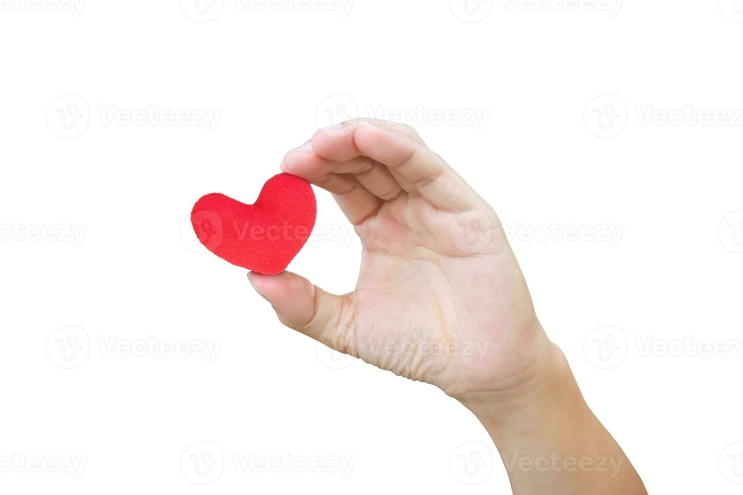 Red heart in hand isolated on white background. Valentine's day concept. photo