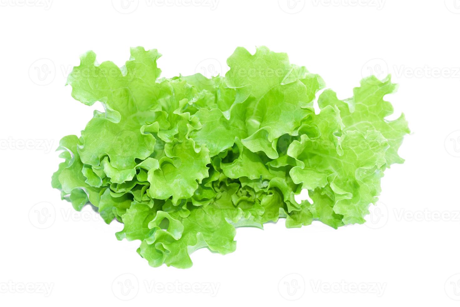 Ensalada de lechuga verde aislado sobre fondo blanco. foto