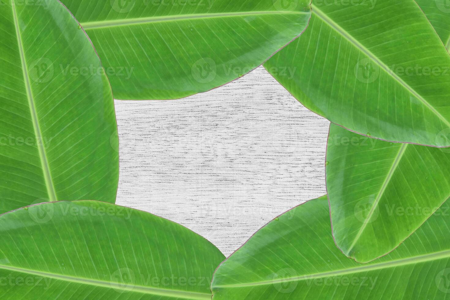 textura de hoja de plátano en la mesa blanca de madera foto