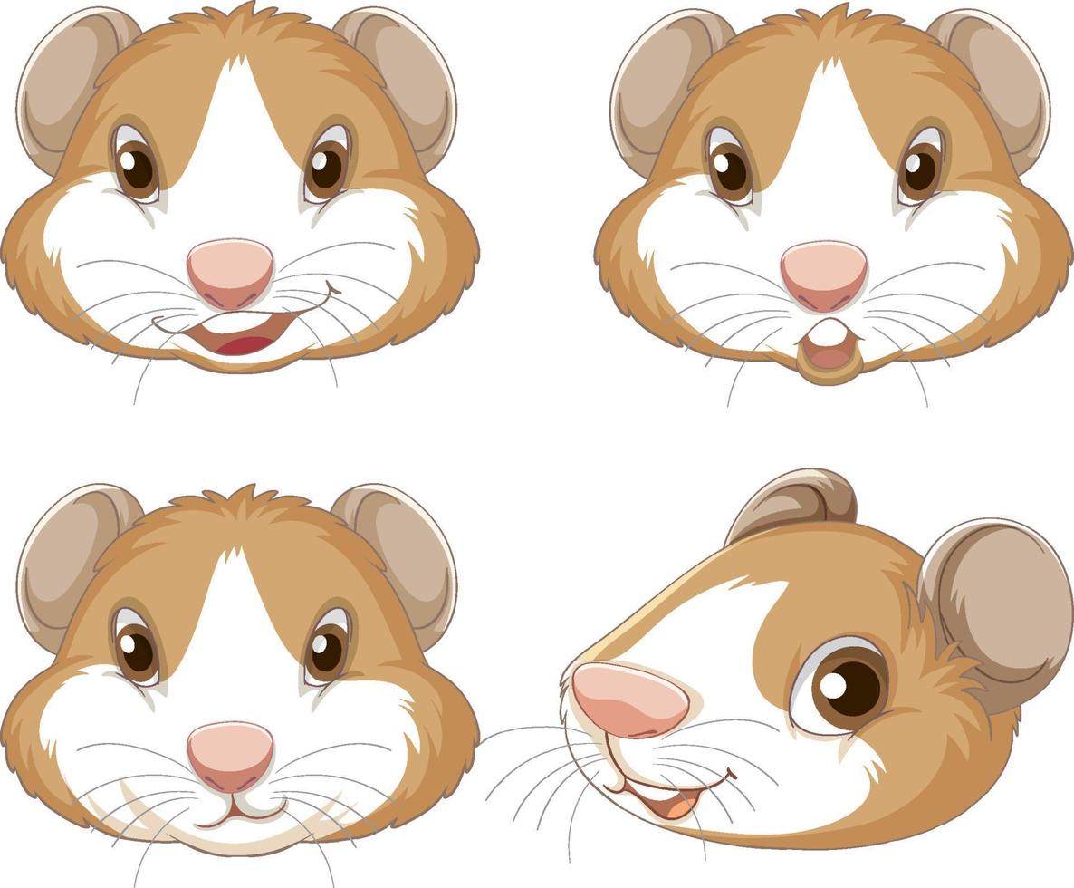 A Cute guinea pig on white background vector