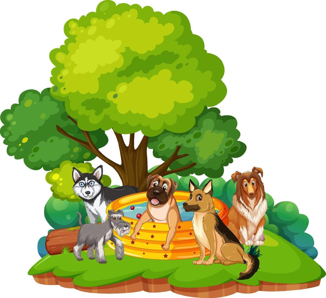 Different pet playing in park vector
