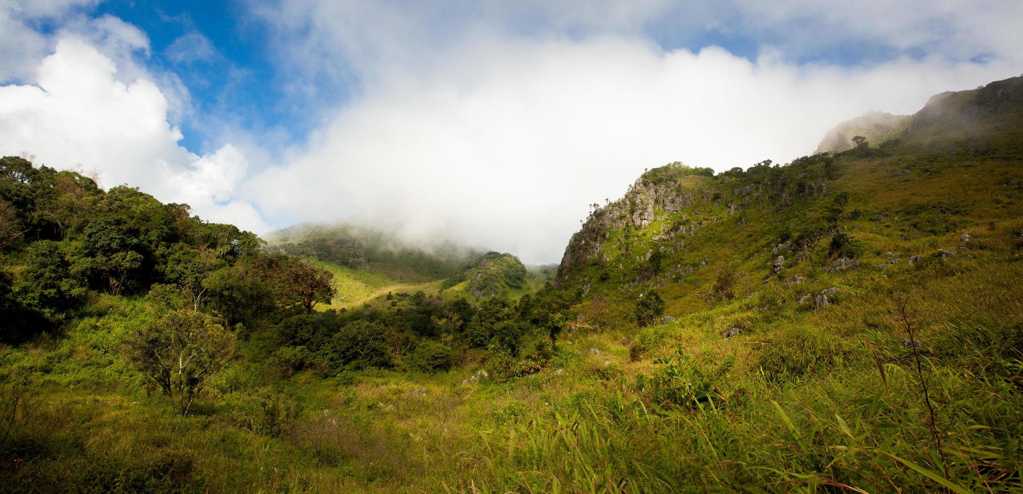 Atmosphere along the way in Chiang Dao Wildlife Sanctuary photo