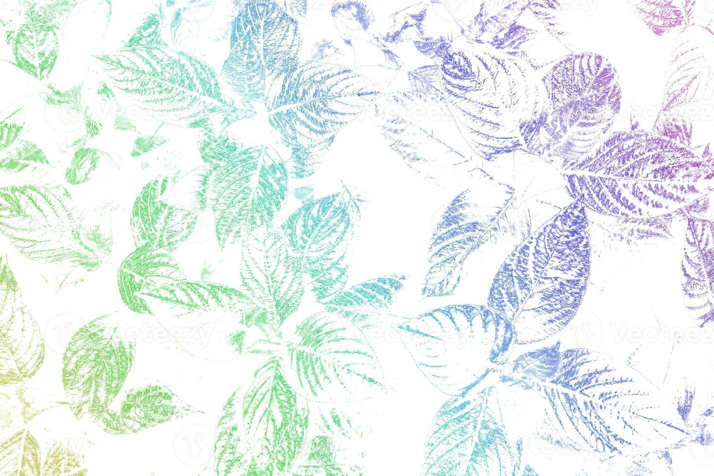 leaves in vibrant gradient with a pastel colored on white background. Concept art. photo