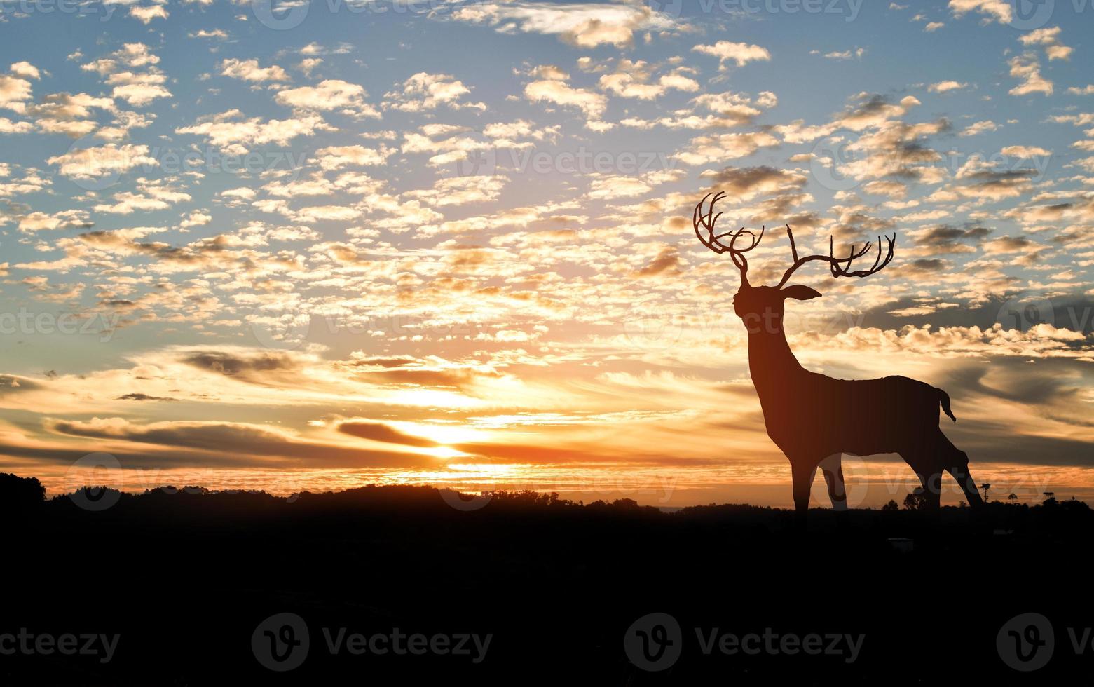 Silhouette of deer on top of a mountain with sunset in the background. photo