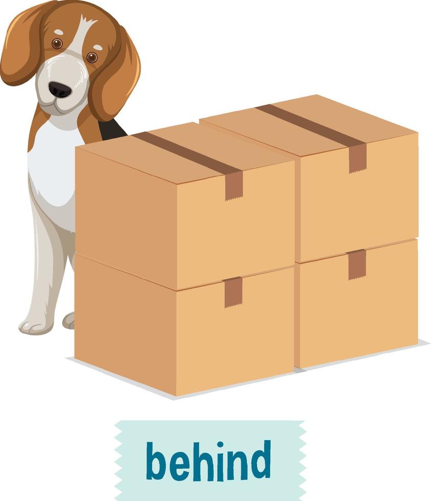 Preposition wordcard with dog and box vector