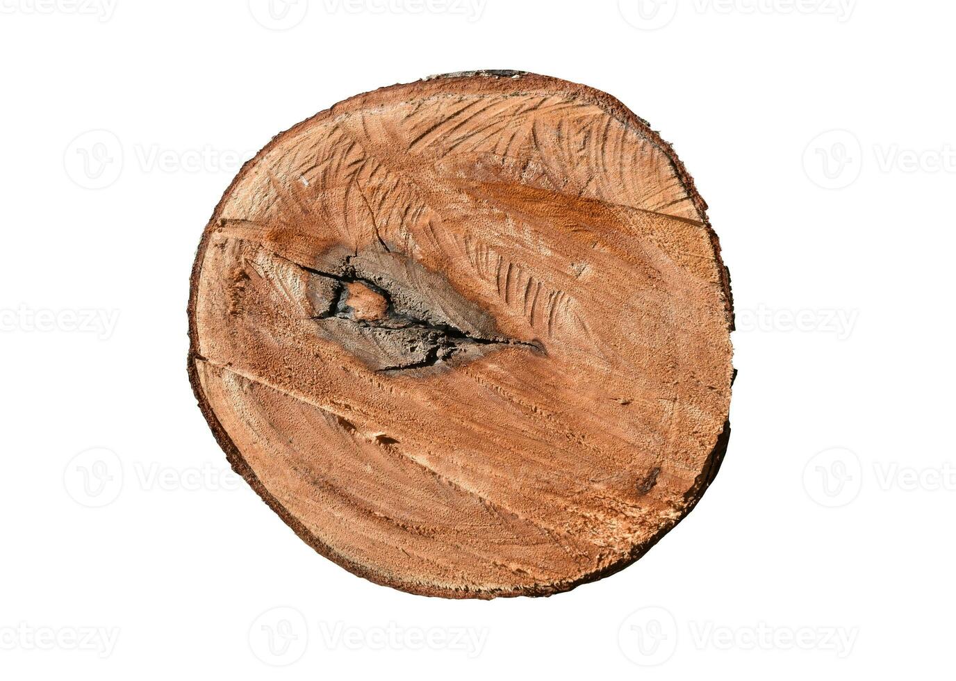 wooden stump isolated on white background. Object with clipping path photo