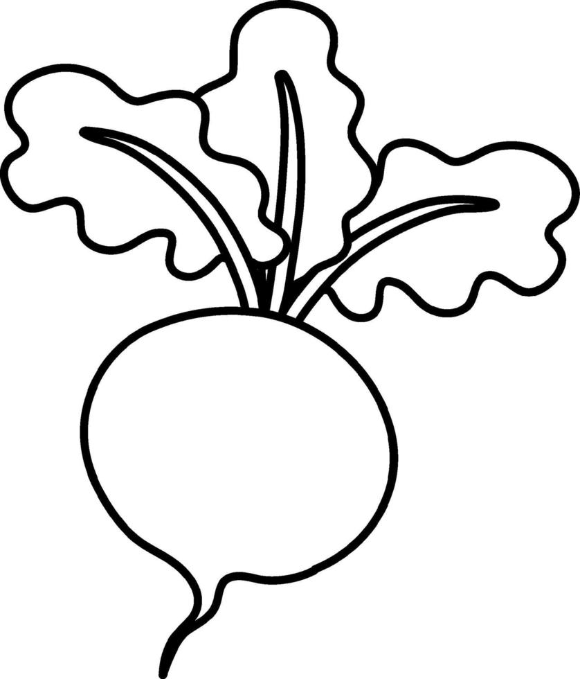 Radish doodle outline for colouring vector