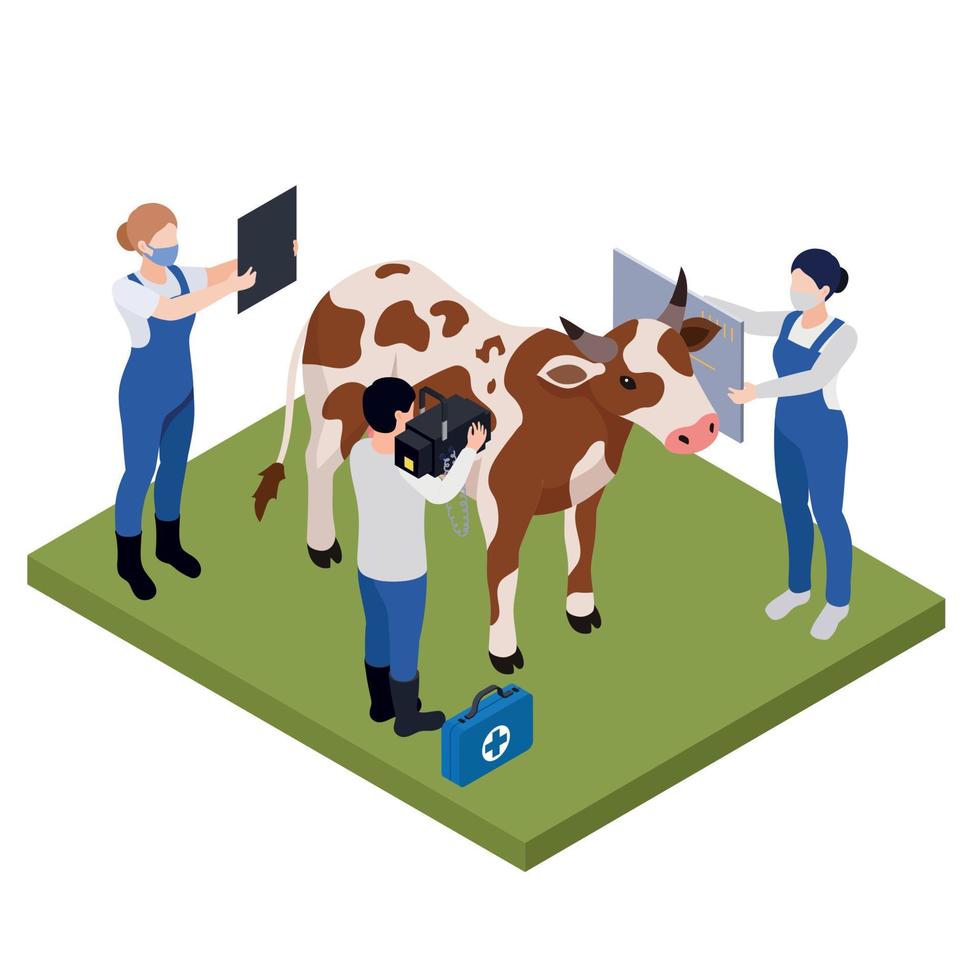 Cow Veterinary Examination Composition vector