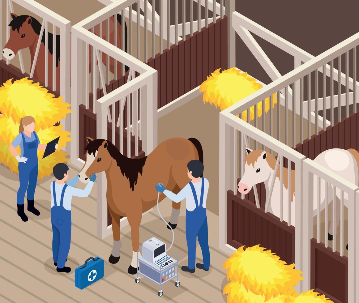 Horse Veterinary Isometric Composition vector