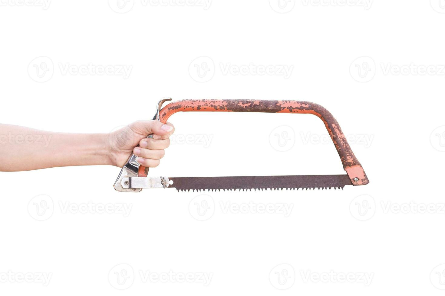 Hand holding old rusty bow saw isolated on white background with clipping path. photo