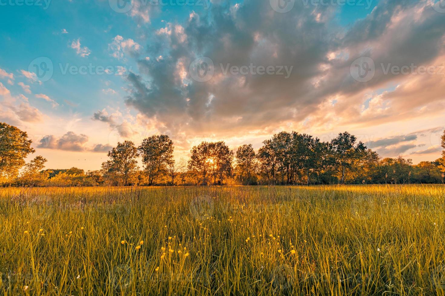 puesta de sol sobre la hierba y el floreciente paisaje de pradera. Fantástico paisaje rural de primavera verano, hermosa naturaleza escénica. vista colorida, cielo de nubes de ensueño foto