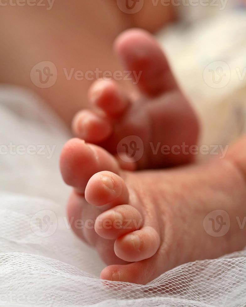 Baby's feet photographed by McMaster Studio in Moose Jaw photo