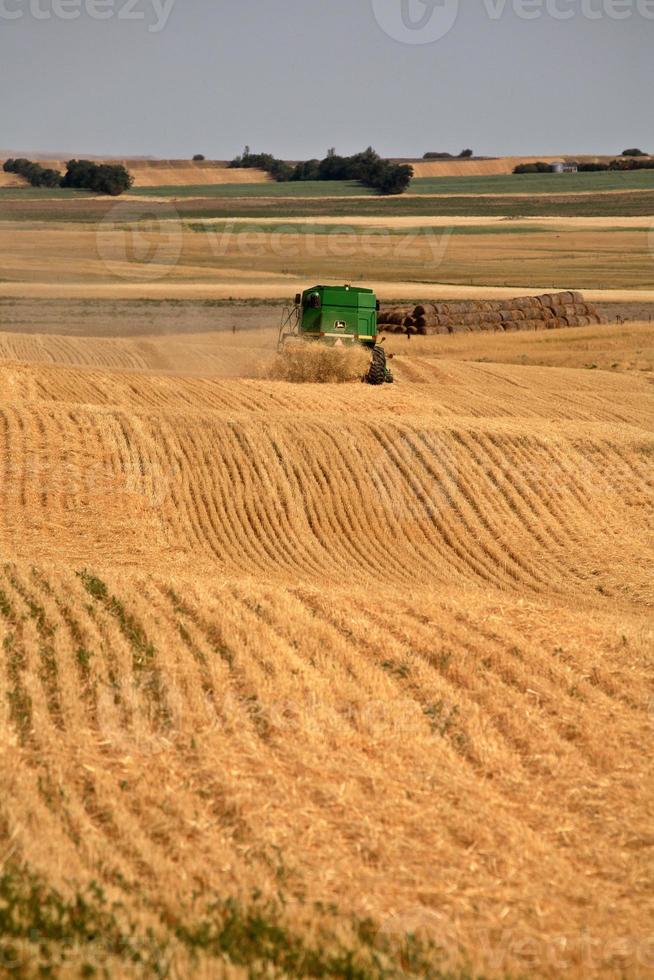 Farmer combining his crop in scenic Saskatchewan photo