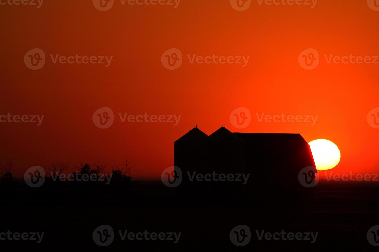 puesta de sol detrás de los graneros de metal de saskatchewan foto