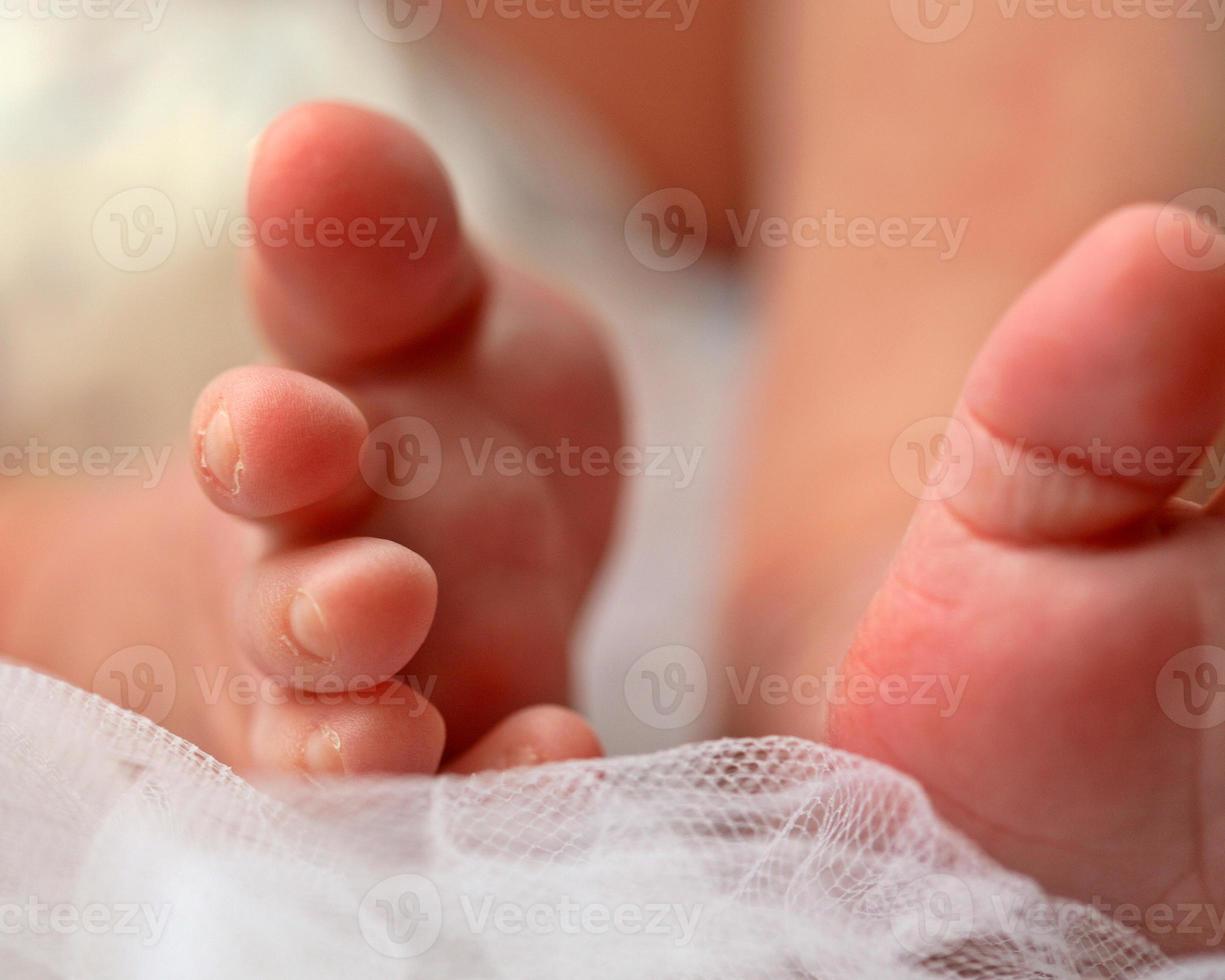 los pies del bebé fotografiados por el estudio mcmaster en la mandíbula de alce foto