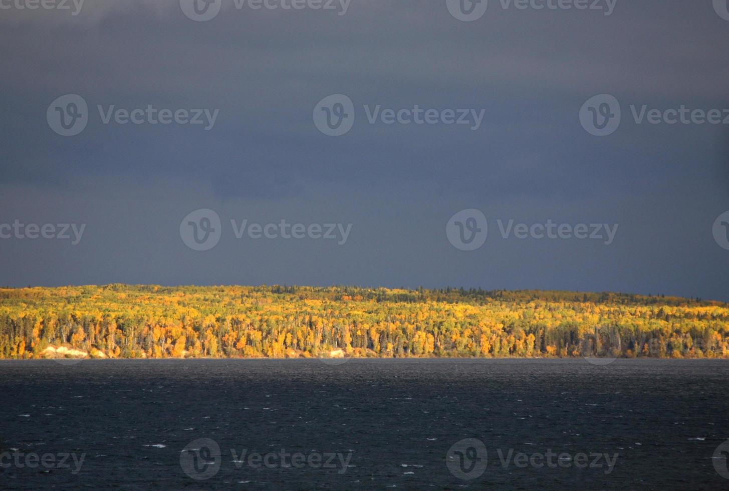 tormenta sobre árboles caídos en el lago waskesiu en saskatchewan foto