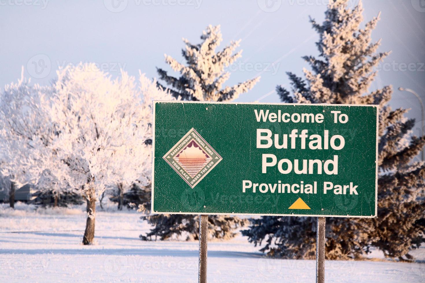 Frost covered trees at Buffalo Pound photo