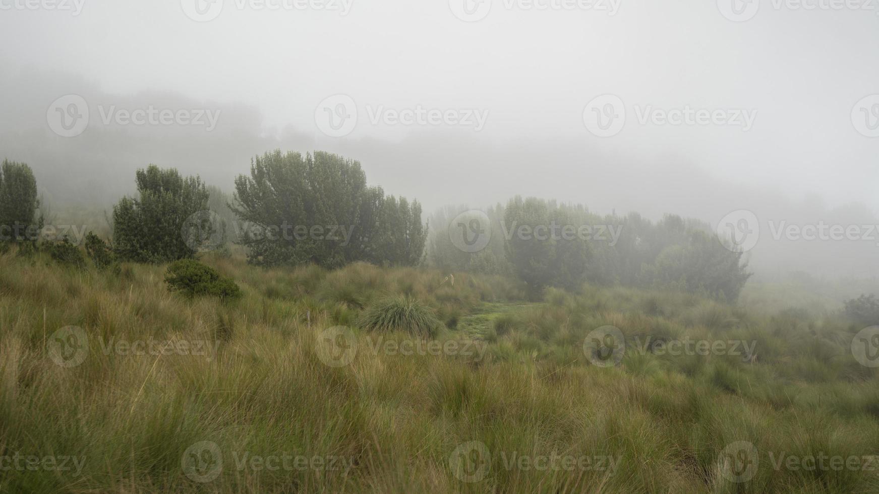 paisaje de páramo andino en las laderas del volcán pichincha sin gente en un día muy nublado foto