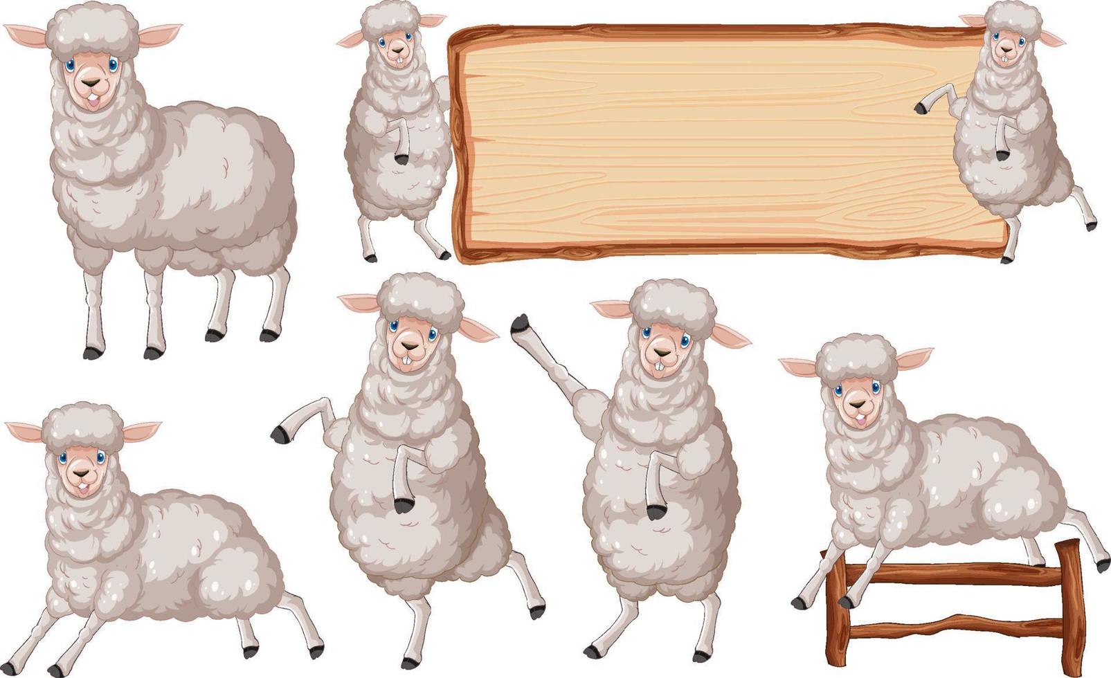 conjunto de diferentes ovejas de granja en estilo de dibujos animados vector