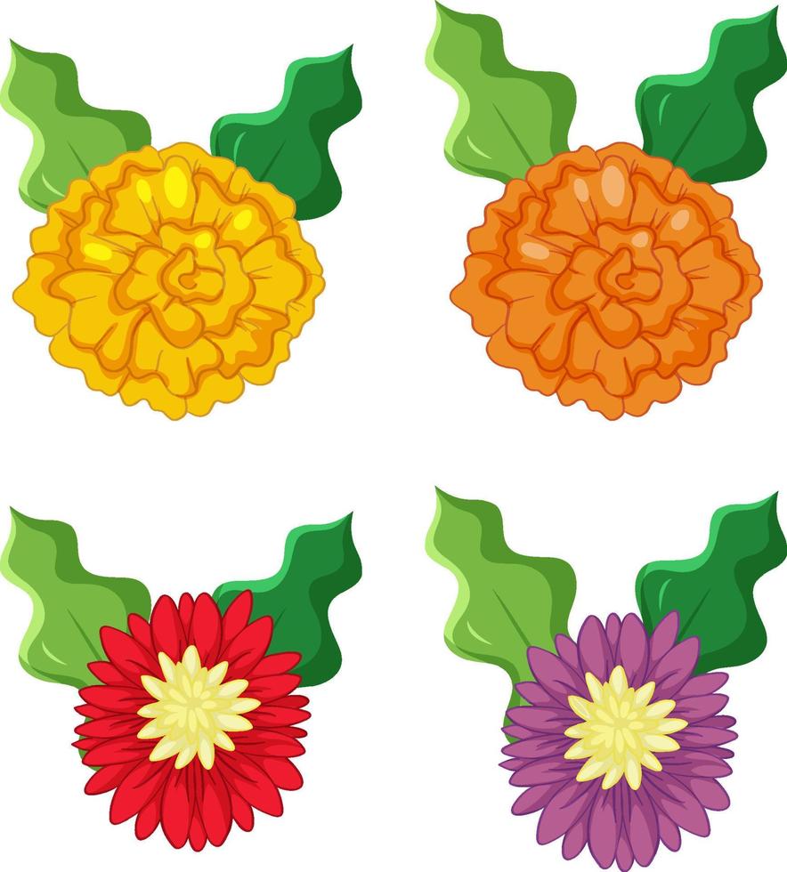 Set of colorful flowers on white background vector